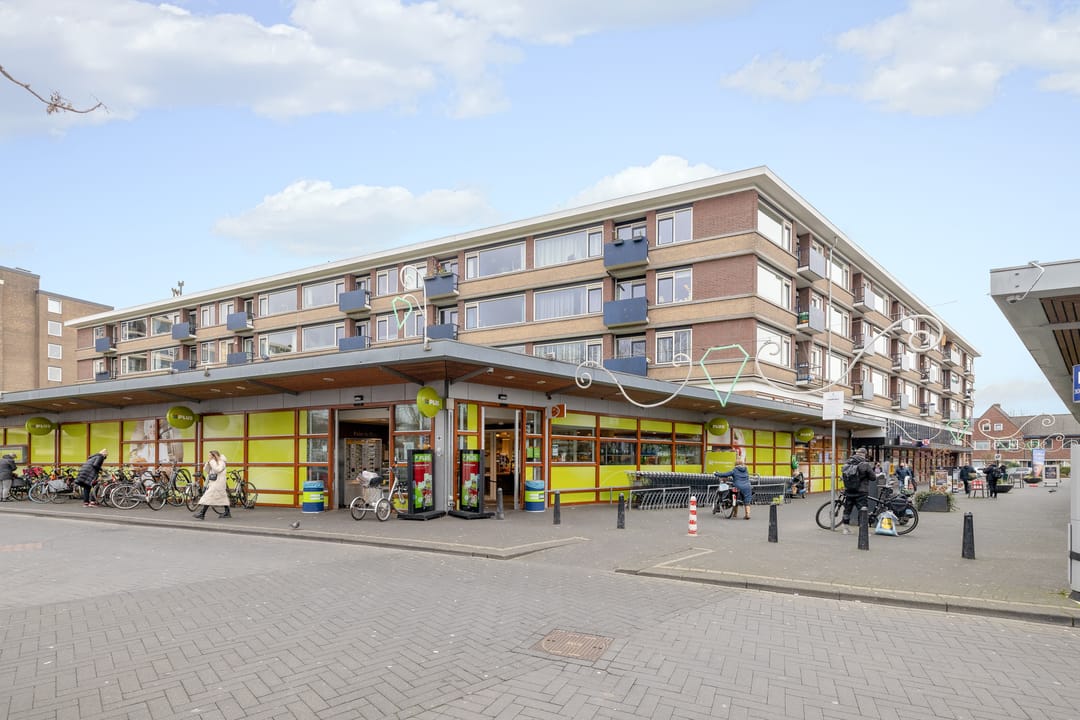 Foto 61 van Tolsteegplantsoen 35