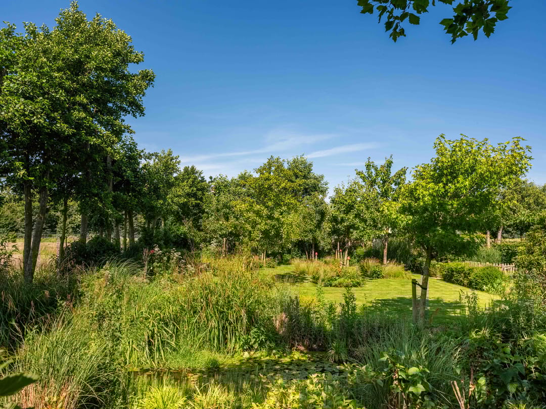 Foto 43 van Groene Hof 3