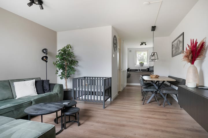 Foto 3 van Carel van Manderdreef 6