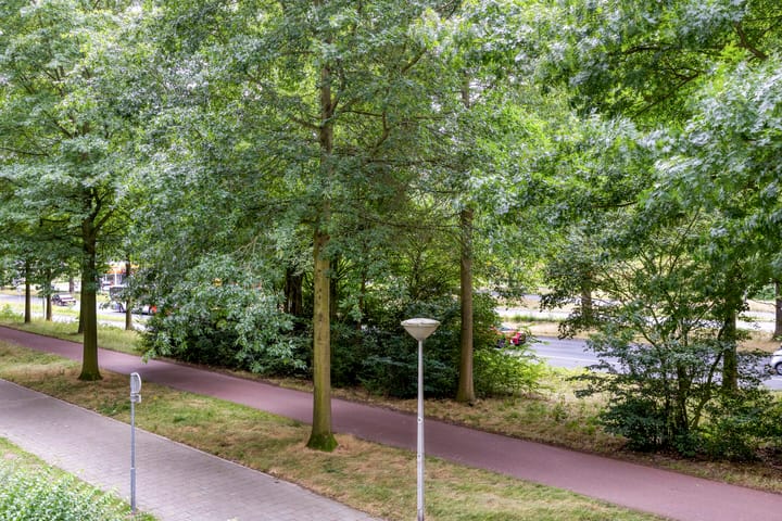 Foto 33 van de Koppele 31