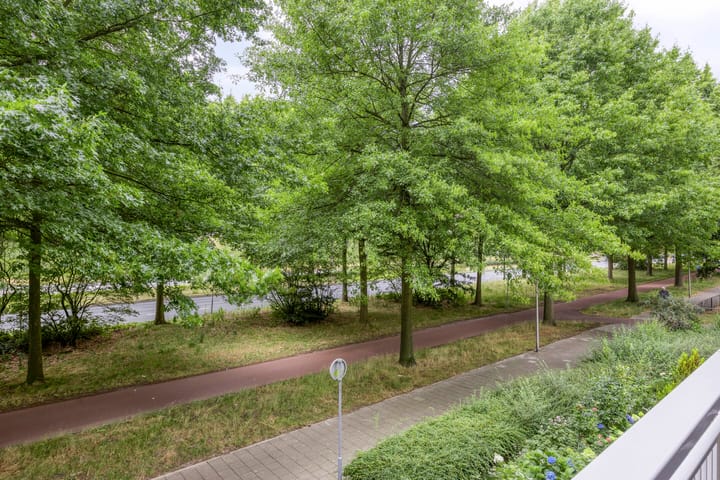 Foto 34 van de Koppele 31