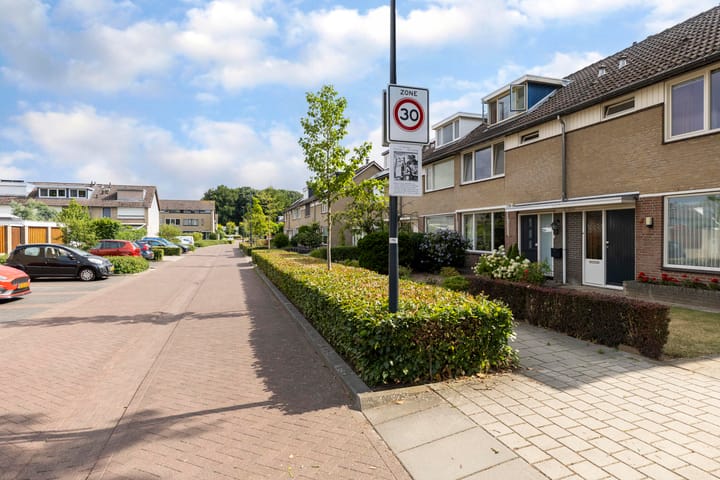 Foto 29 van De Steenzager 2