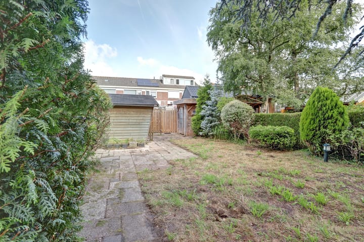 Foto 2 van Grote Haarsekade 41-A