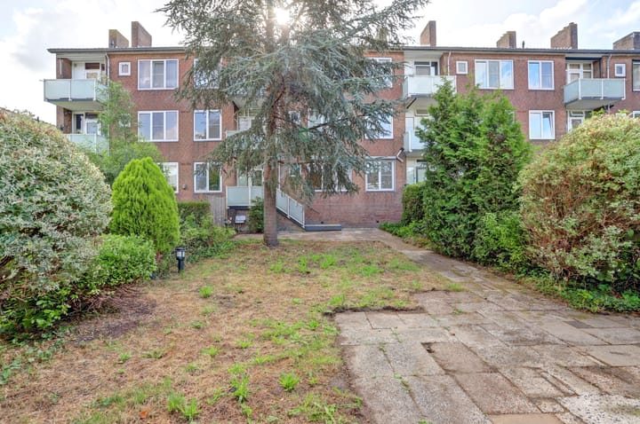 Foto 3 van Grote Haarsekade 41-A