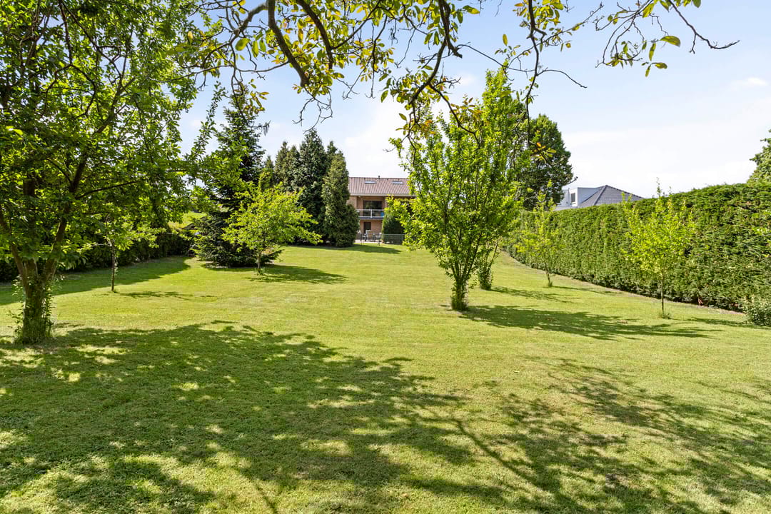 Foto 37 van Steinhartstraat 9