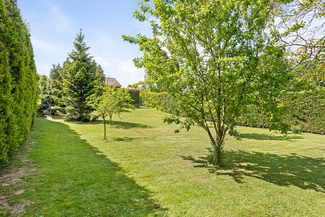 Foto 38 van Steinhartstraat 9