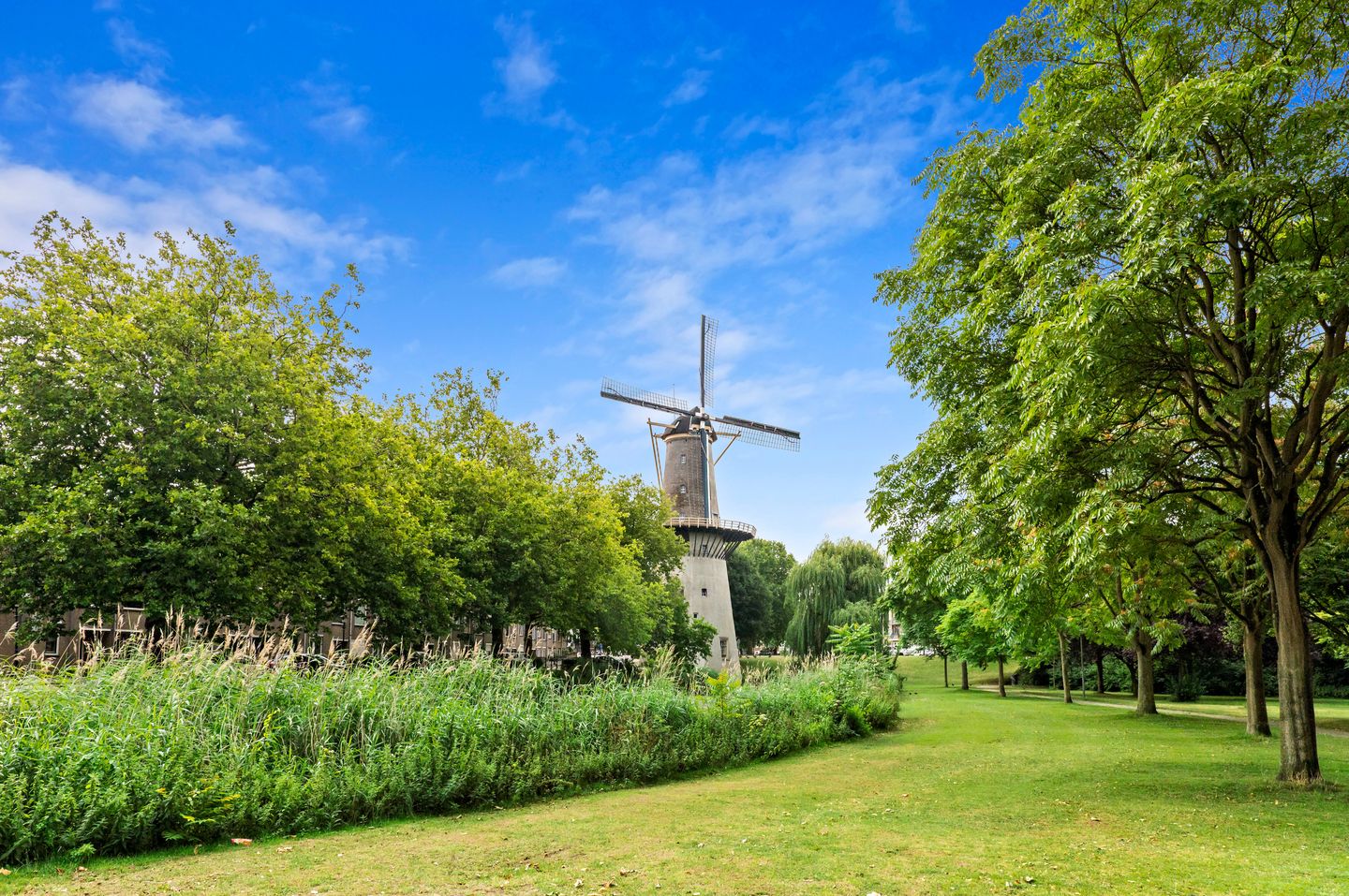 Foto 34 van Vlaardingerstraat 19-B