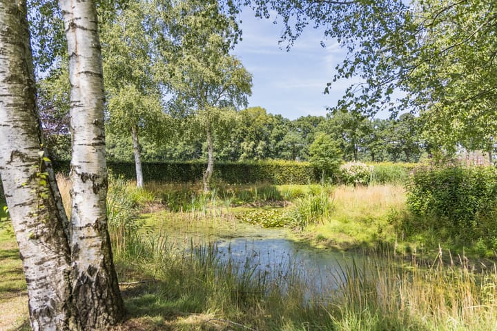 Foto 60 van Schoneveldsdijk 32