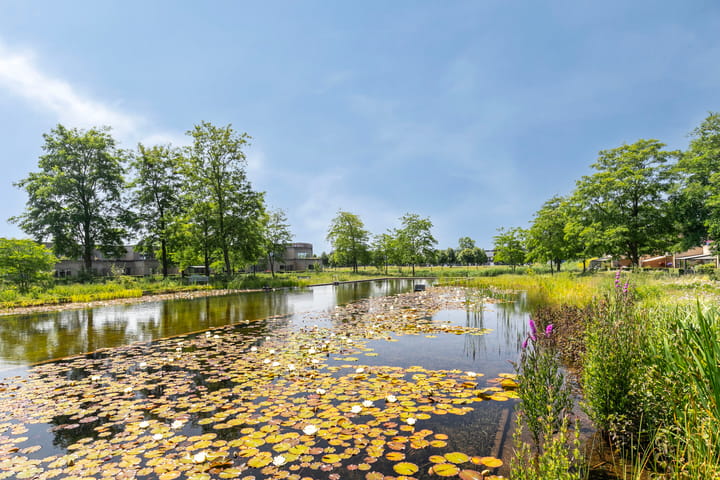 Foto 3 van Poseidonsingel 24