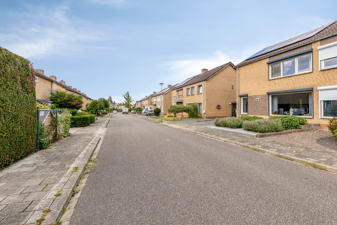 Foto 2 van Appellaan 3