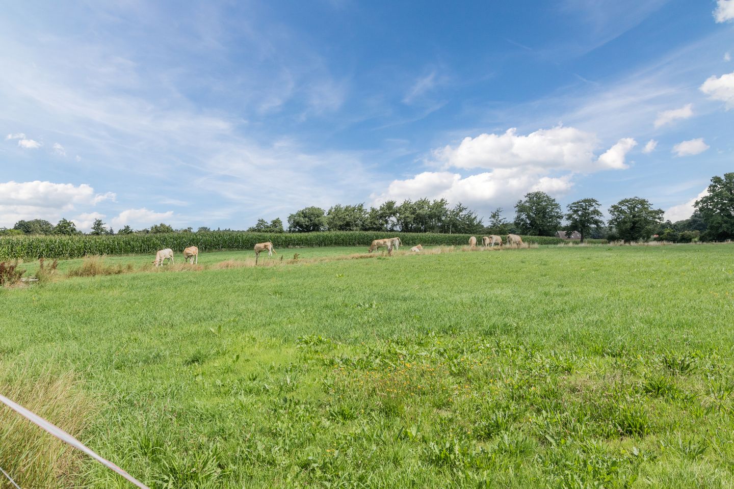 Foto 44 van Molenstraat 46