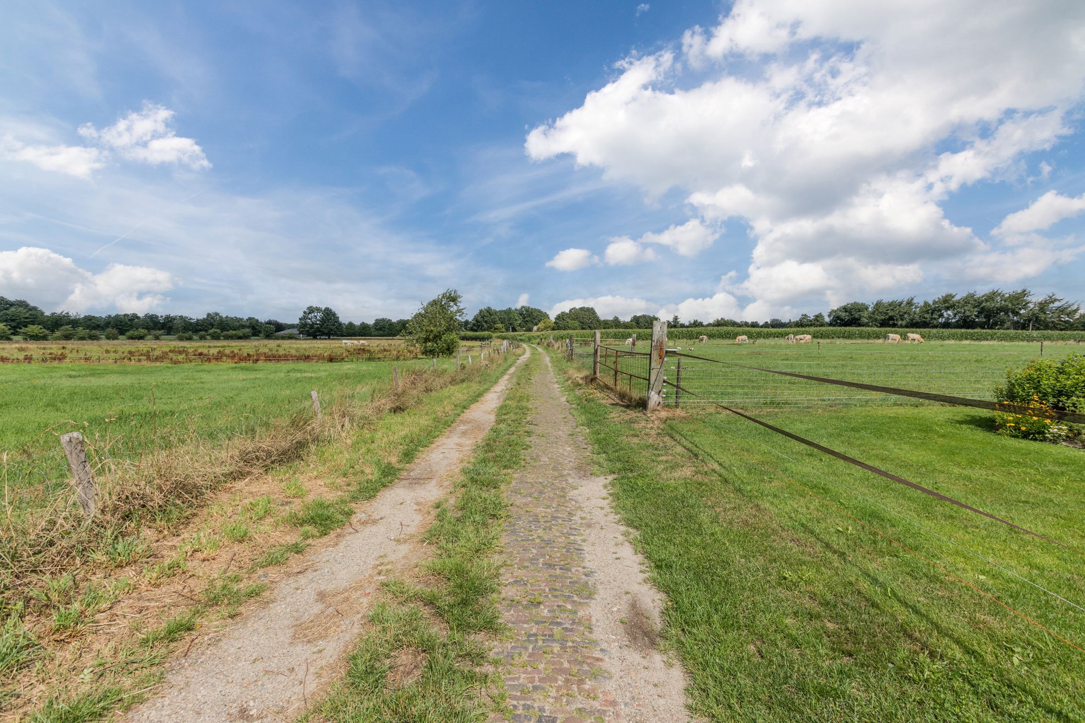 Foto 45 van Molenstraat 46