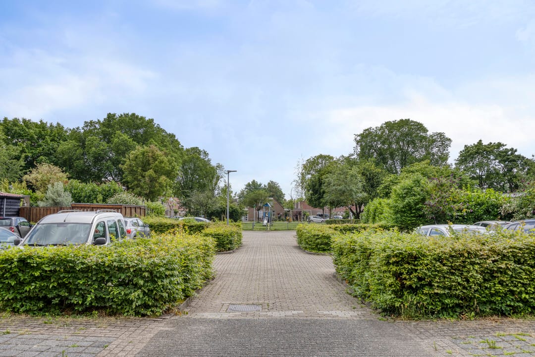 Photo 31 of Oliemolen 6