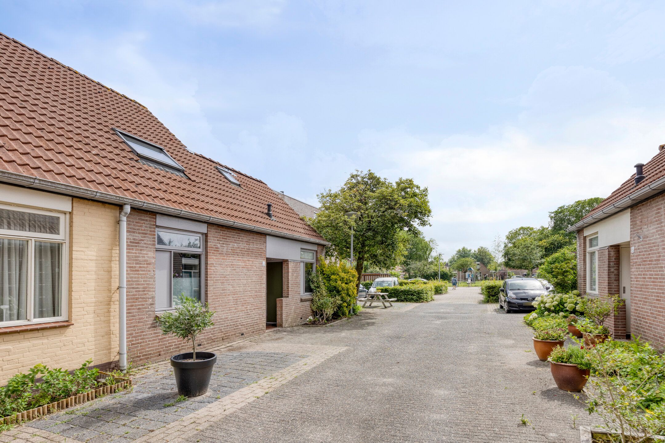 Photo 30 of Oliemolen 6