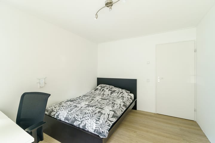 Foto 18 van Apollo 204