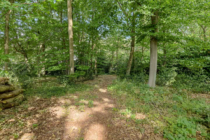 Foto 44 van Bredaseweg 170