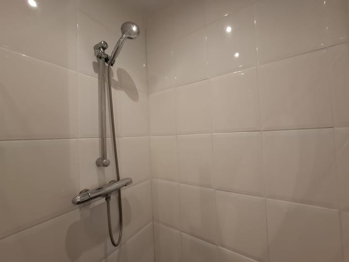 Foto 9 van Reigerstraat 138