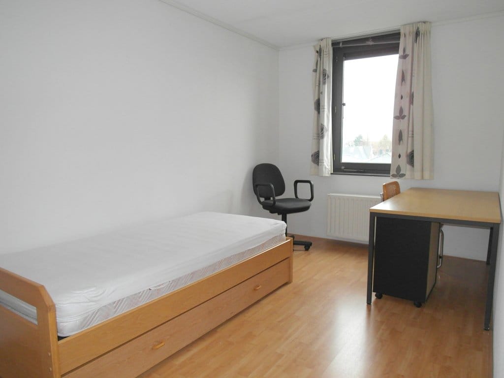 Foto 20 van Koningsveld 75