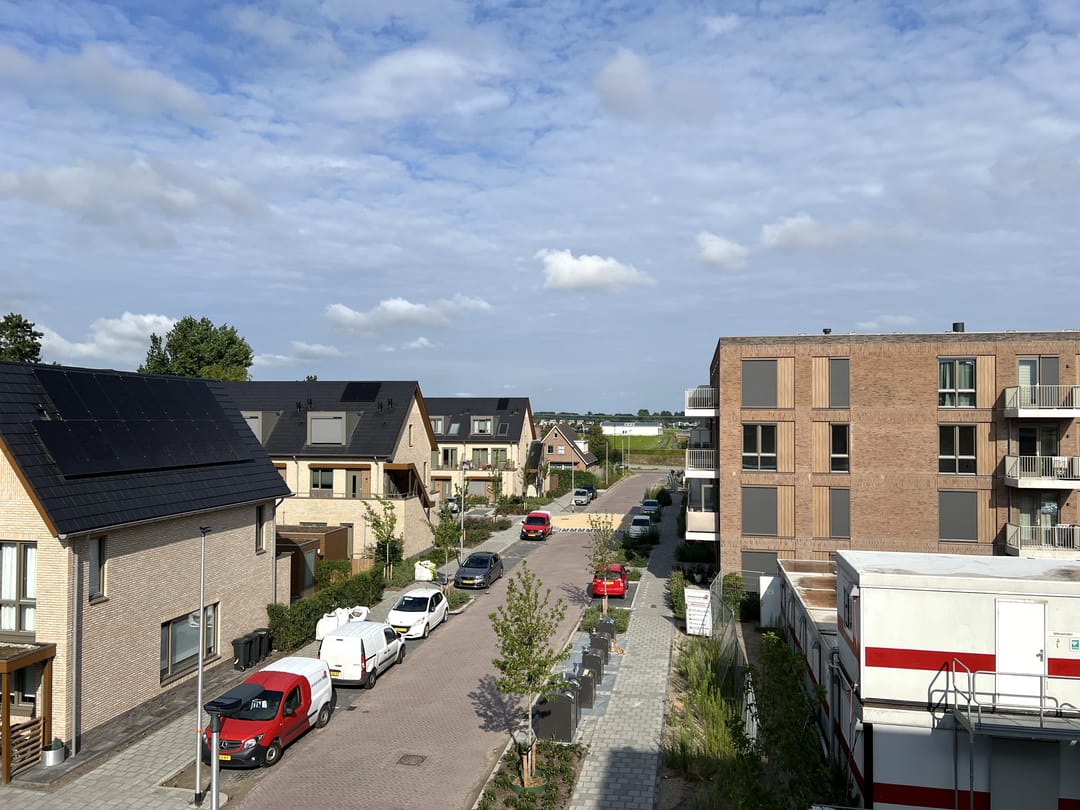 Foto 17 van Pioentulp 18