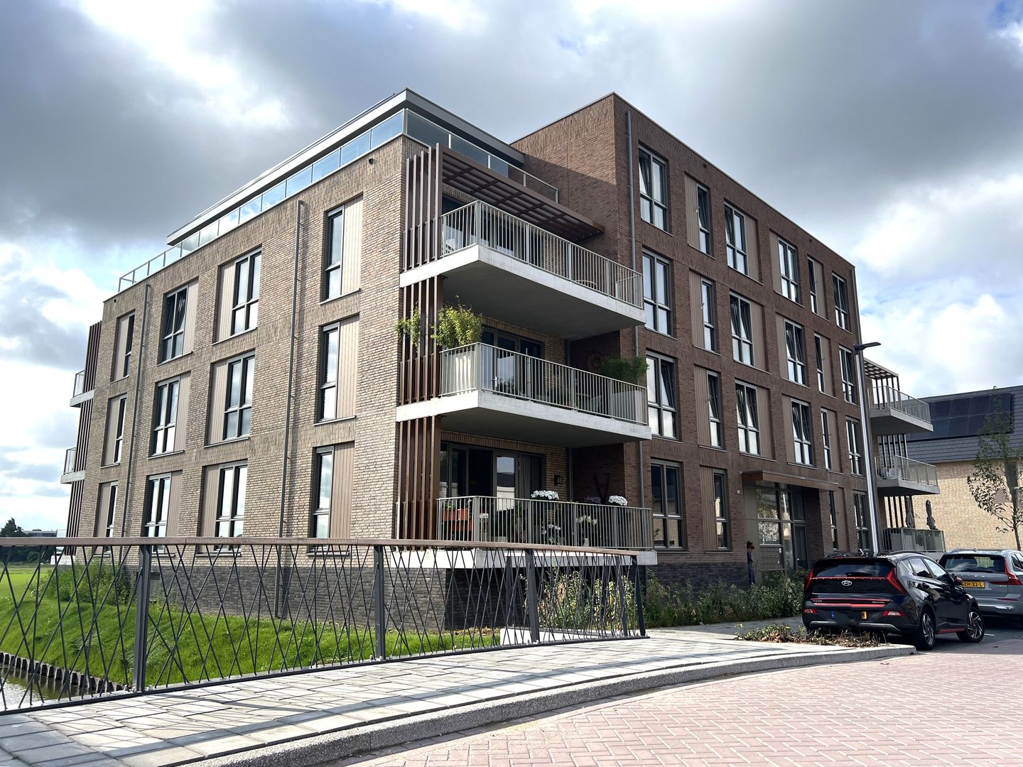 Foto 1 van Pioentulp 18