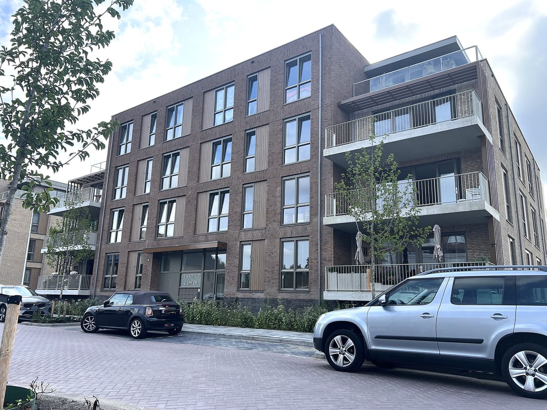 Foto 2 van Pioentulp 18