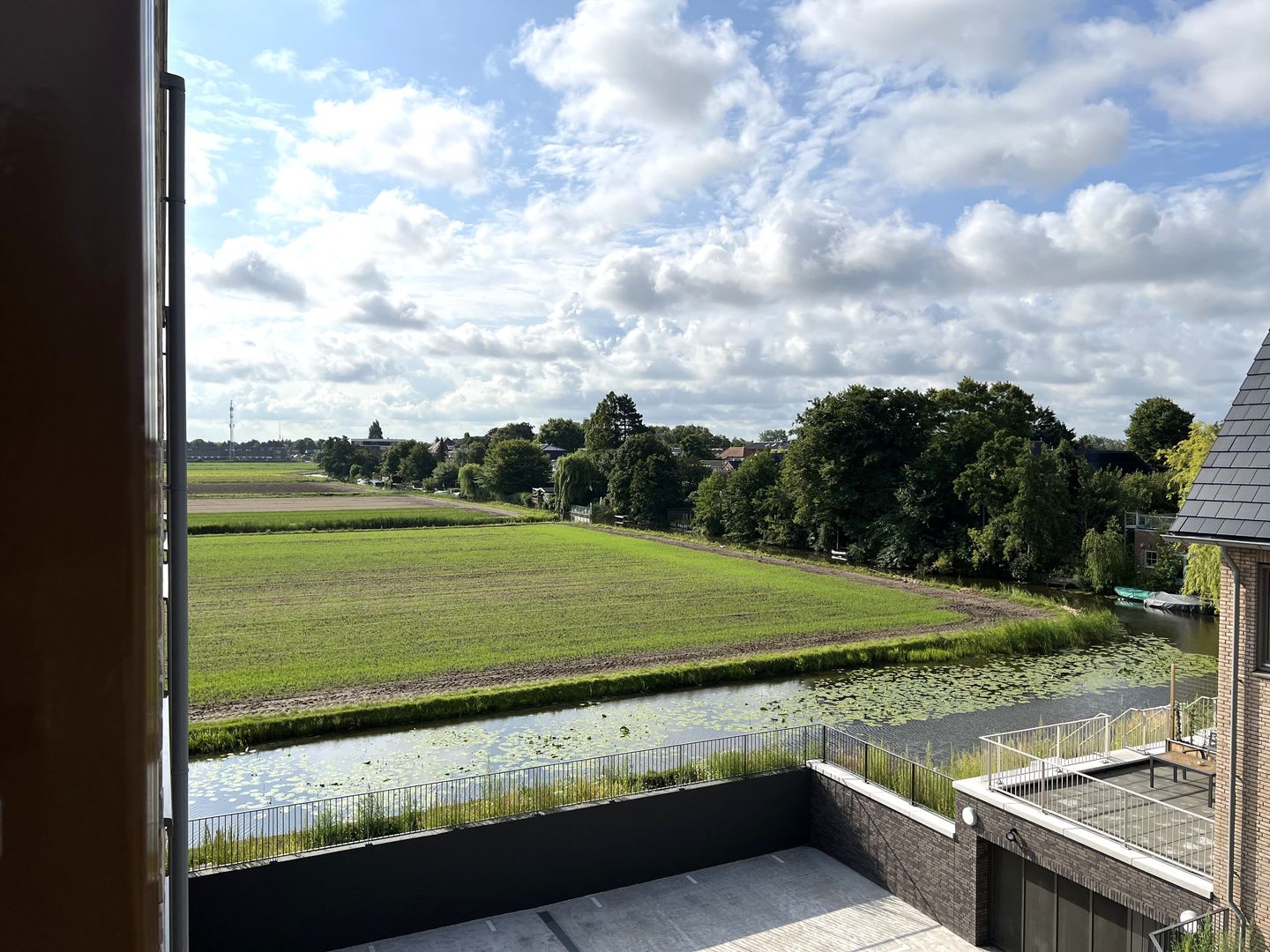 Foto 19 van Pioentulp 18