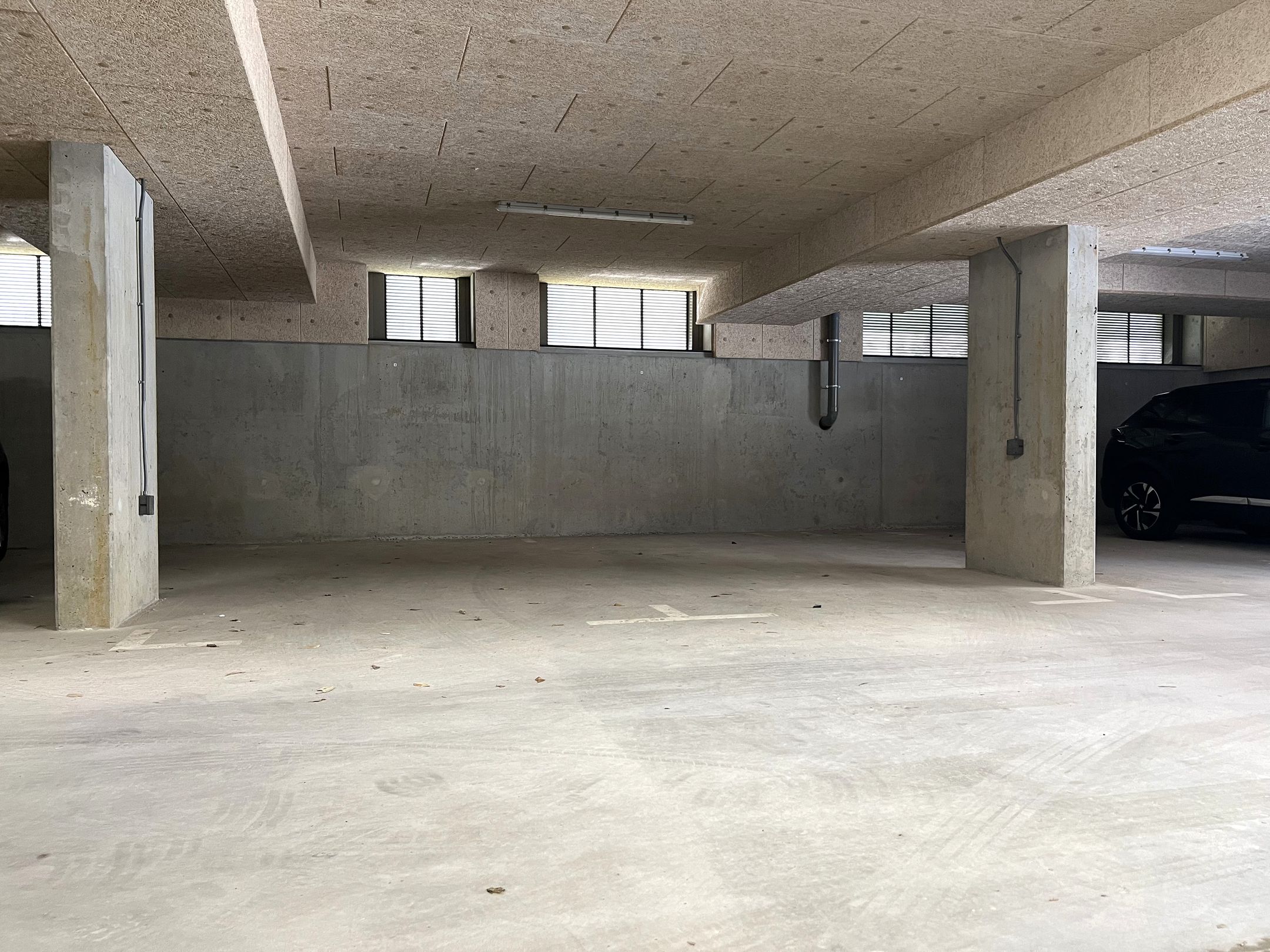 Foto 30 van Pioentulp 18