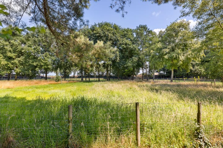 Foto 44 van Steenstraat 38