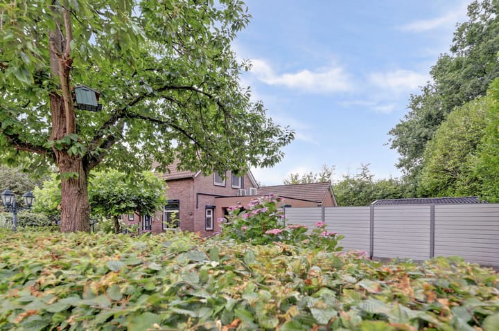 Foto 4 van Haspelstraat 26