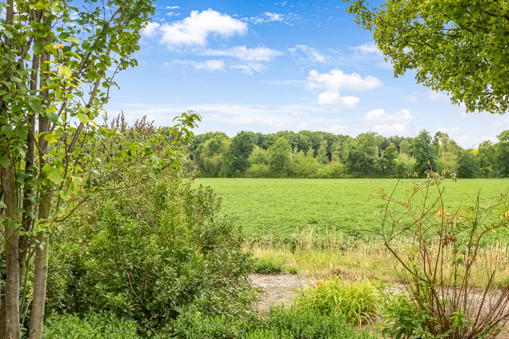 Foto 28 van Bosschenhoofdsestraat 24