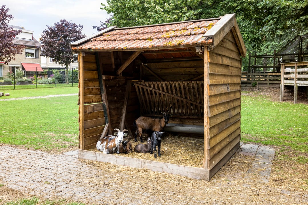 Foto 28 van Notenhof 11