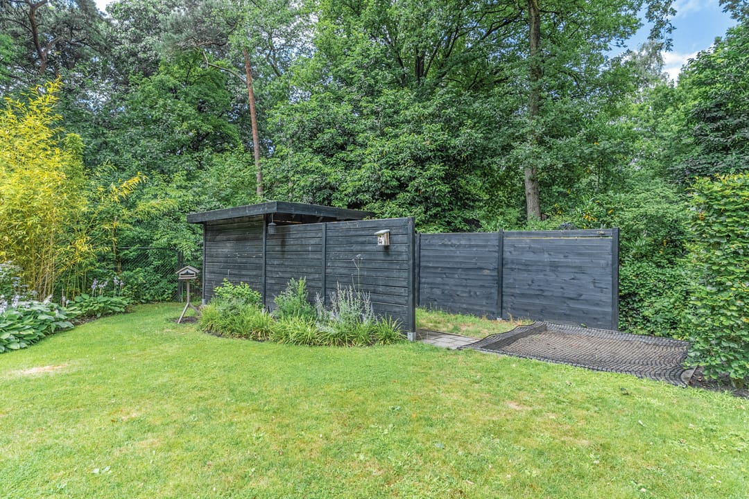 Foto 38 van Atalanta 17