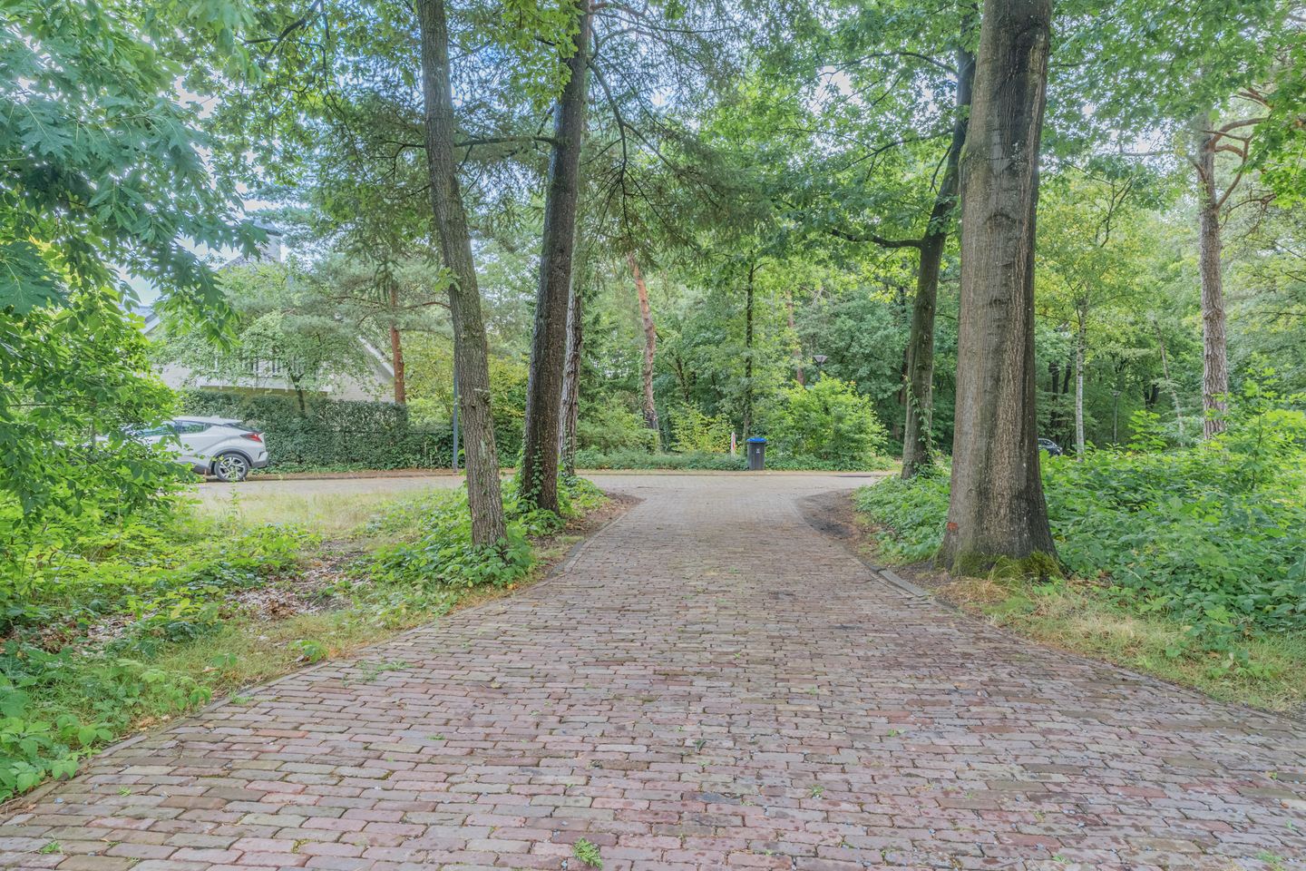 Foto 64 van Atalanta 17