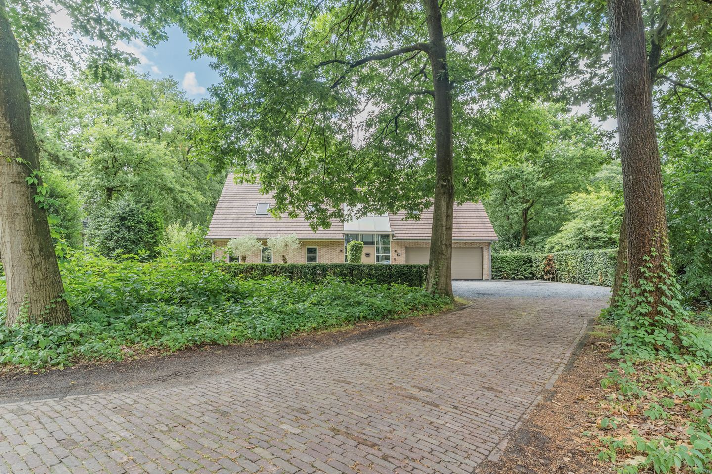 Foto 65 van Atalanta 17