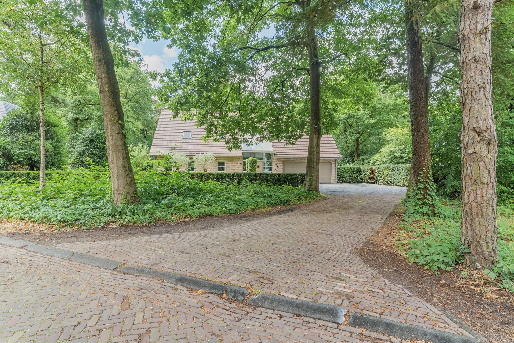 Foto 66 van Atalanta 17