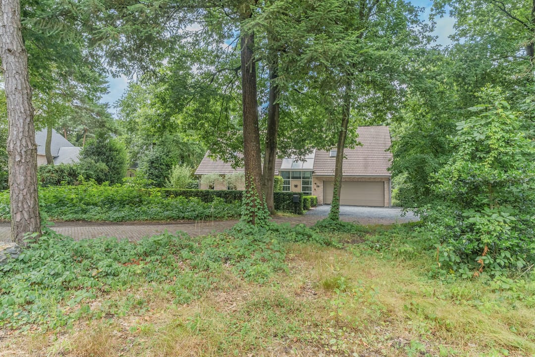 Foto 67 van Atalanta 17