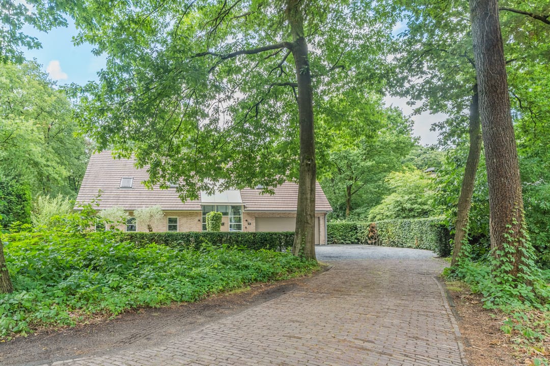 Foto 68 van Atalanta 17