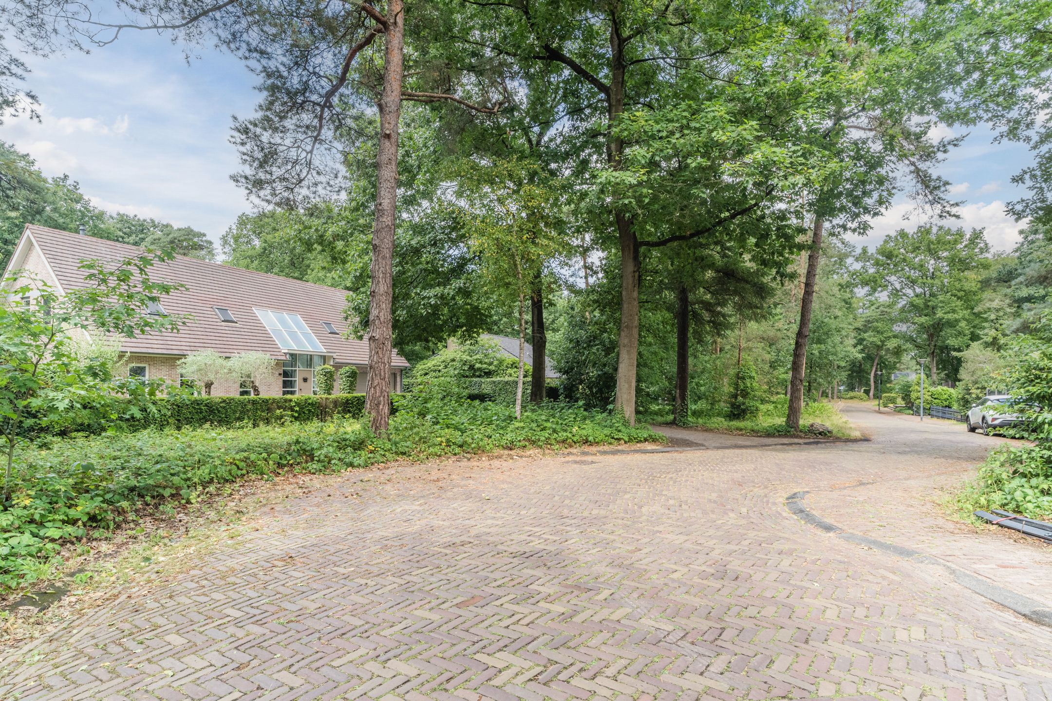 Foto 69 van Atalanta 17