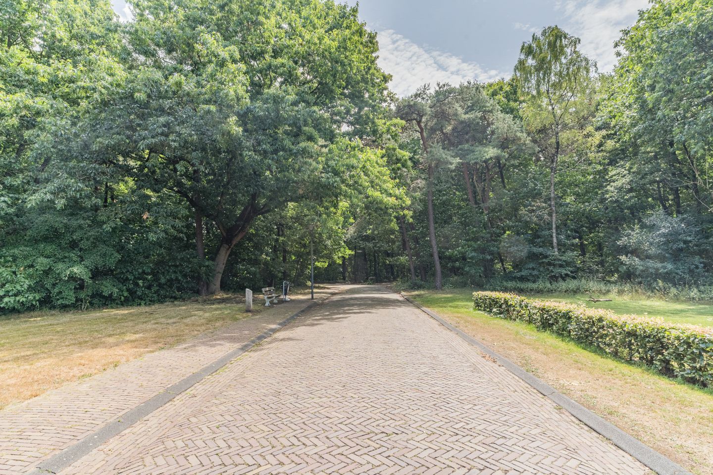 Foto 70 van Atalanta 17