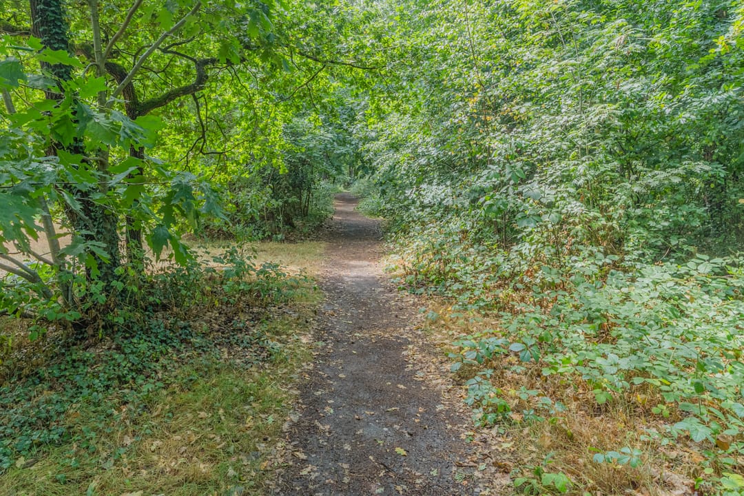 Foto 71 van Atalanta 17