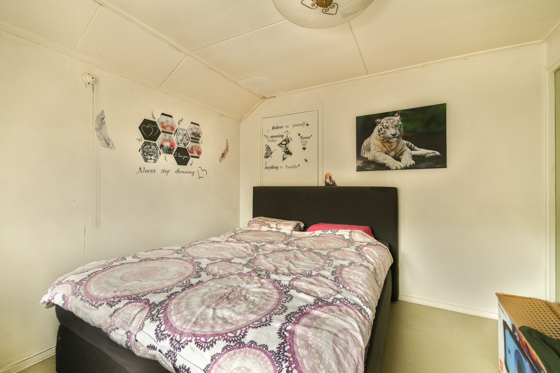 Photo 15 of De Haal 82-A