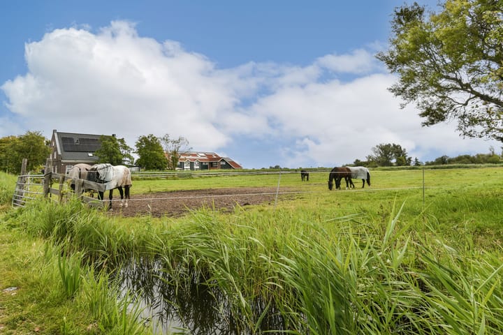 Foto 22 van De Haal 82-A