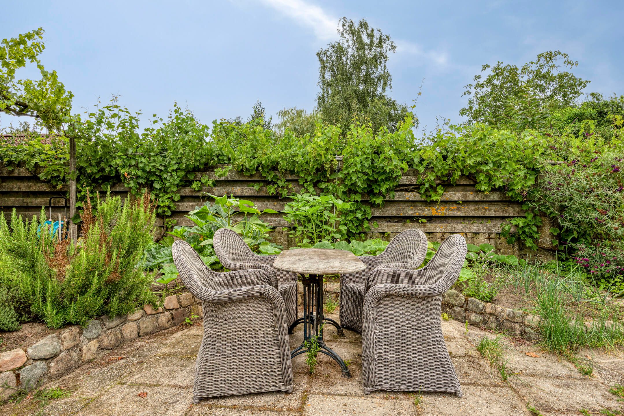 Foto 45 van Esdoornlaan 6