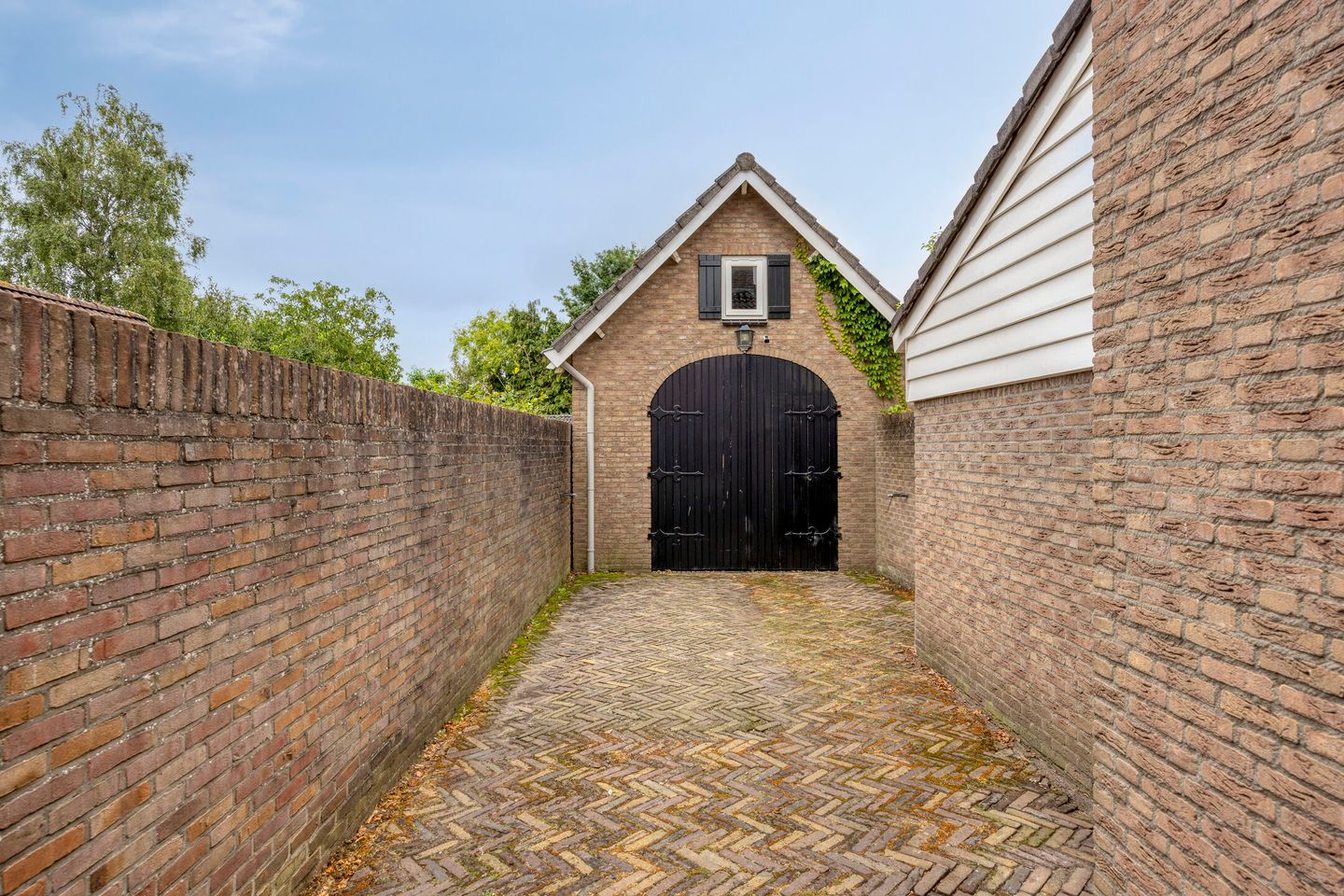 Foto 50 van Esdoornlaan 6