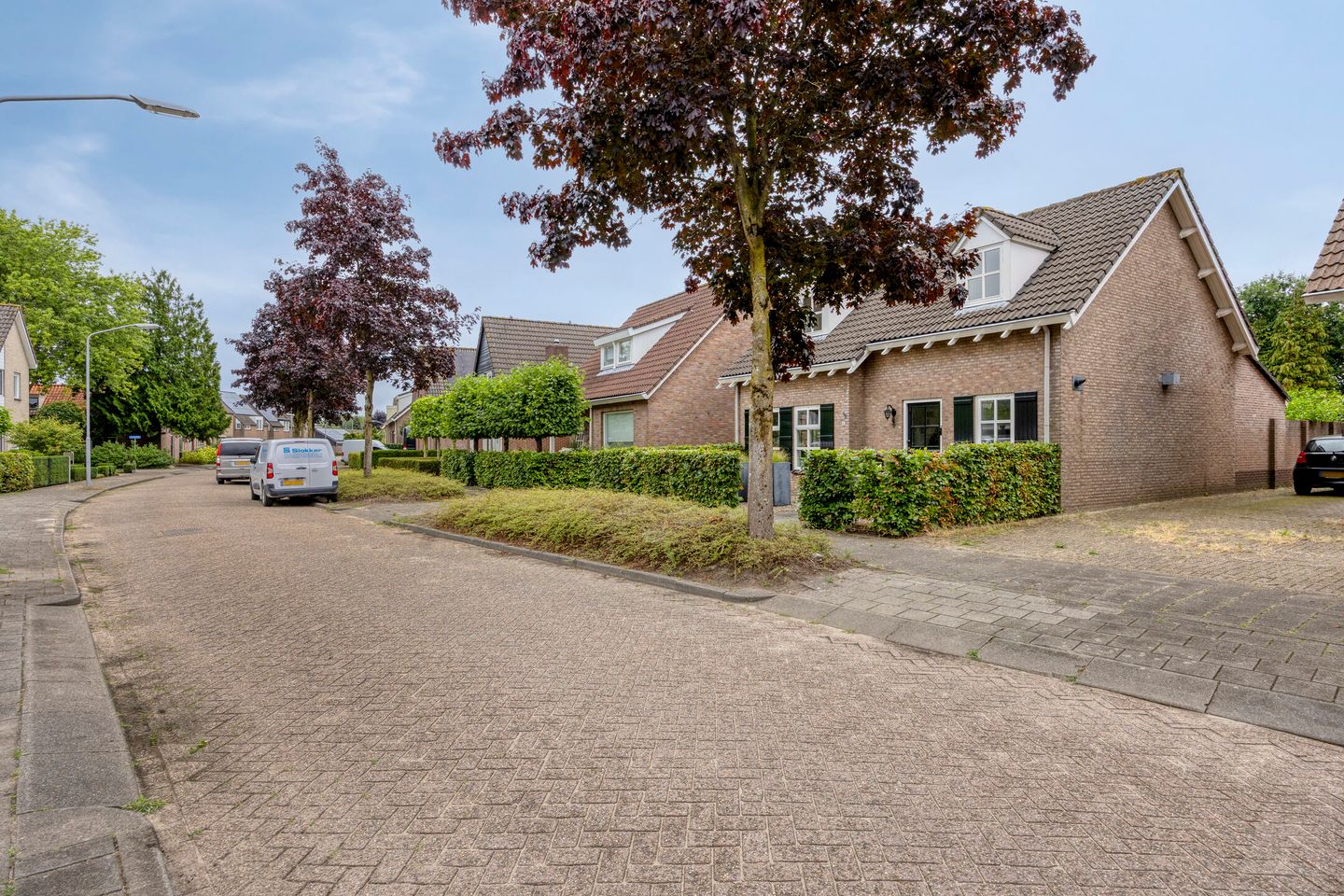 Foto 55 van Esdoornlaan 6