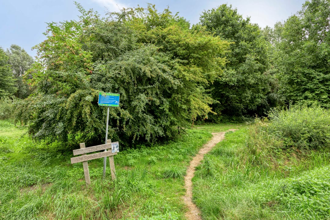 Foto 56 van Esdoornlaan 6