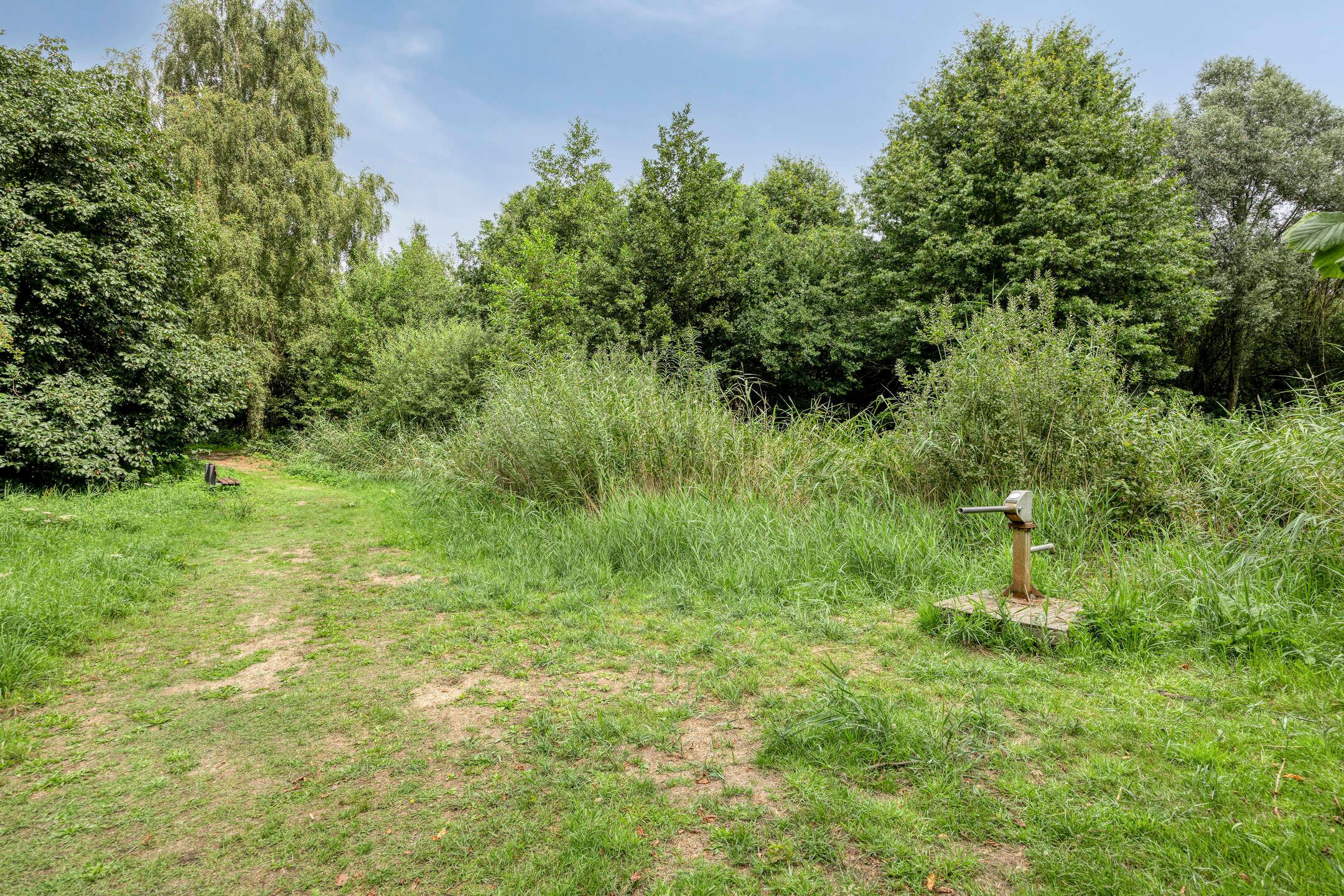 Foto 57 van Esdoornlaan 6