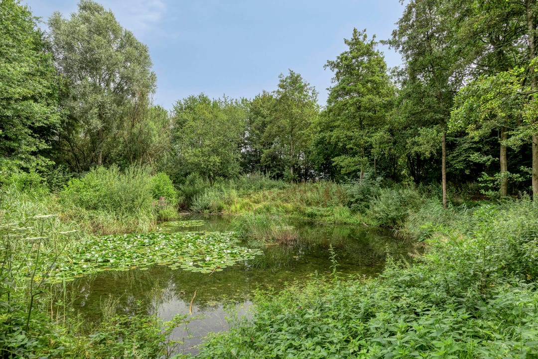 Foto 58 van Esdoornlaan 6