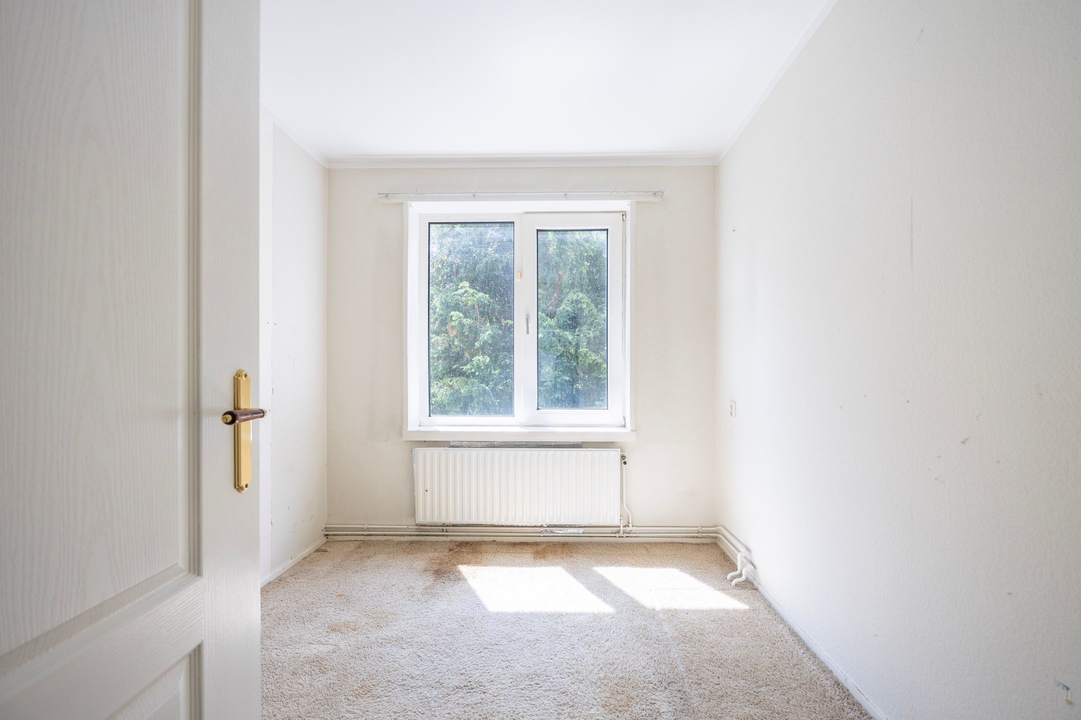 Foto 6 van Dompvloedslaan 6