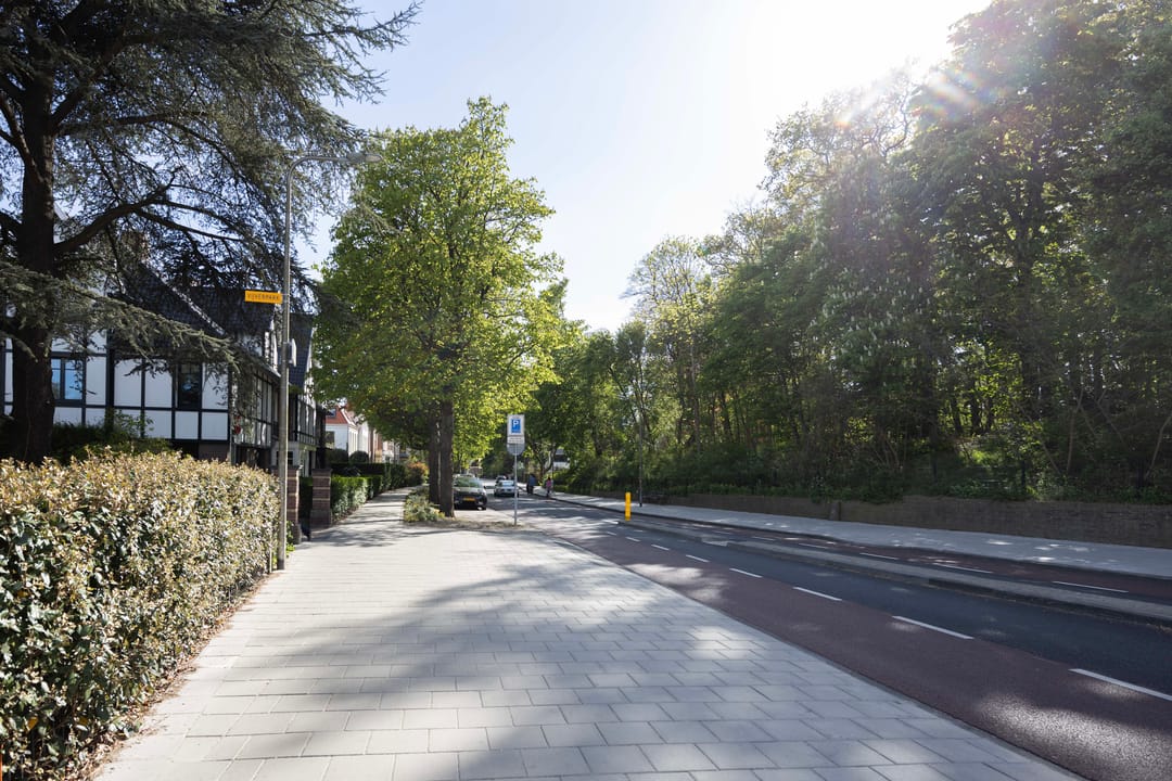 Foto 23 van Dompvloedslaan 6